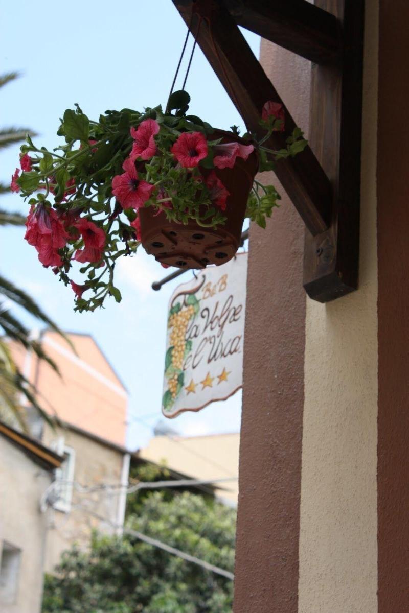 La Volpe E L'Uva B&B Piazza Armerina Dış mekan fotoğraf