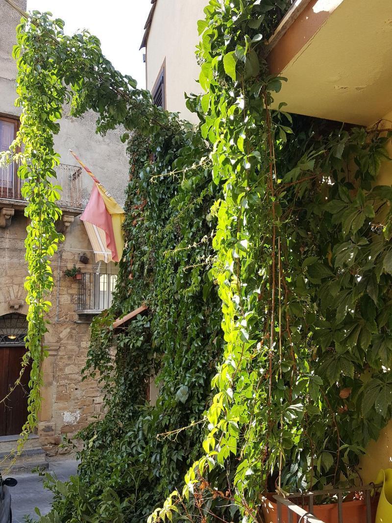La Volpe E L'Uva B&B Piazza Armerina Dış mekan fotoğraf